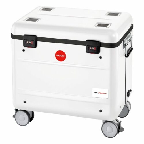 PARAPROJECT Case i10